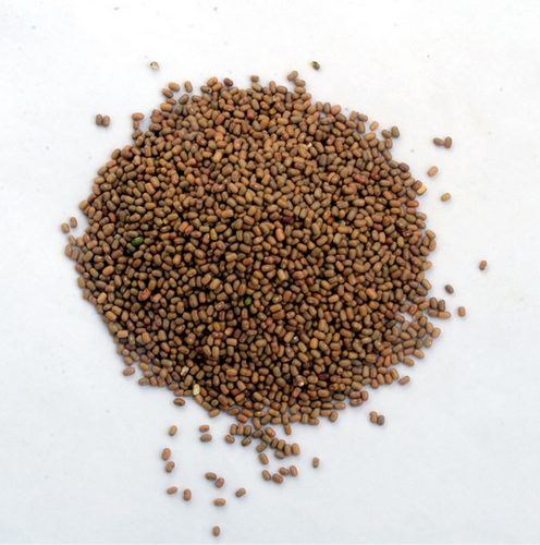 Moth Bean Seeds