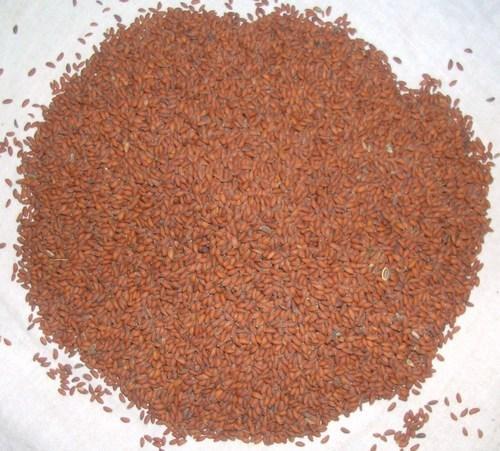 Taramira Seeds, Packaging Type : PP Bags